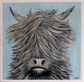 Highland Cow