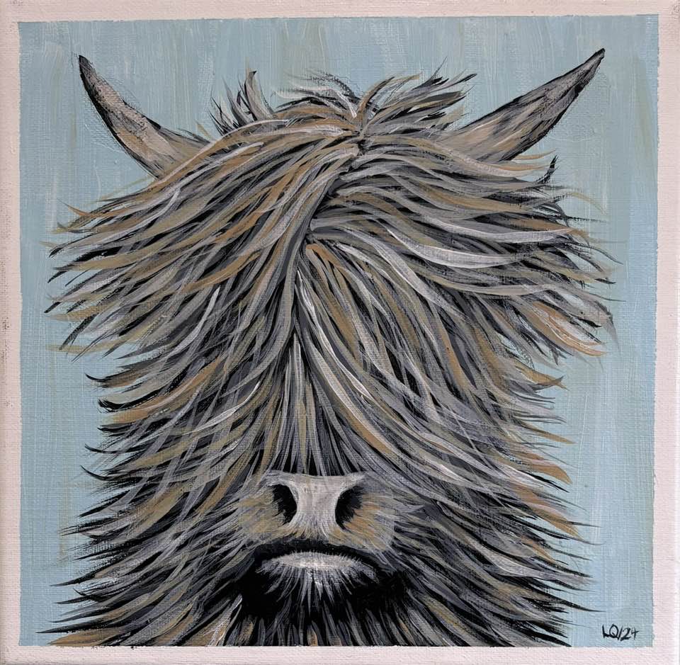 Highland Cow