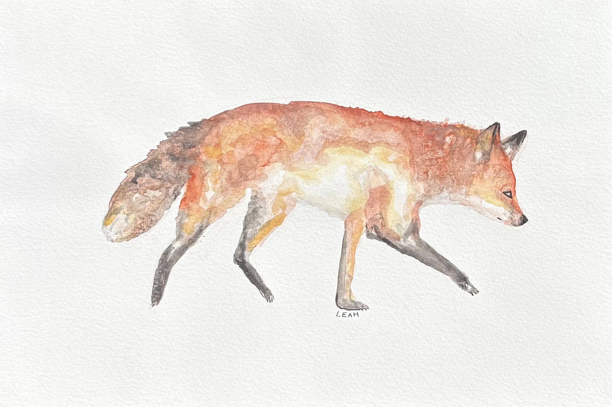 Fox